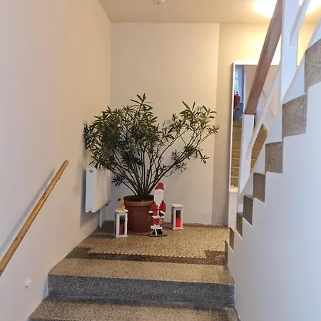 Ferienwohnung Haus Fernblick Kurort Bärenburg Exterior foto
