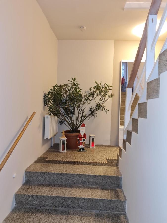 Haus Fernblick Appartement Kurort Bärenburg